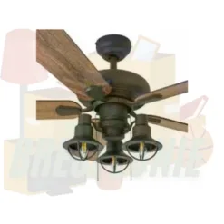 Ceiling Fan with Light Kit in Nebraska